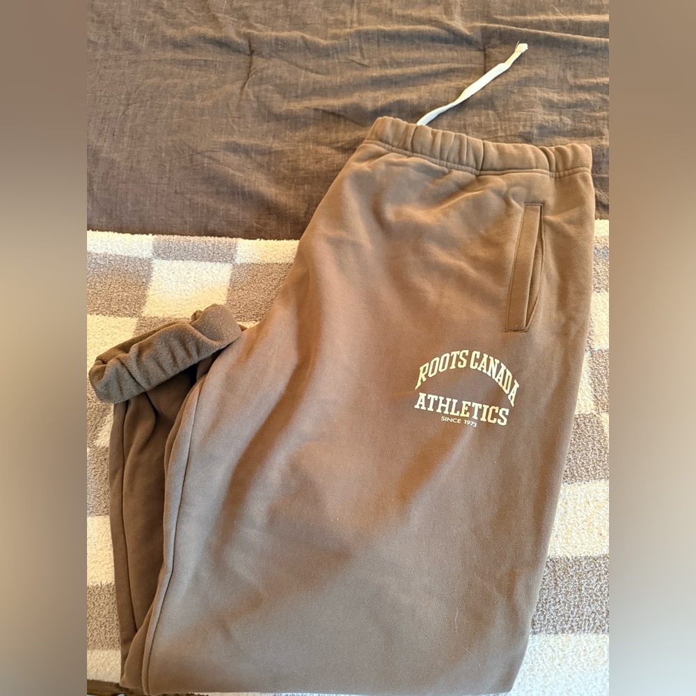 Roots Brown Skinny Pants